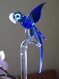 Orchideenstab