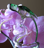 Orchideenstab